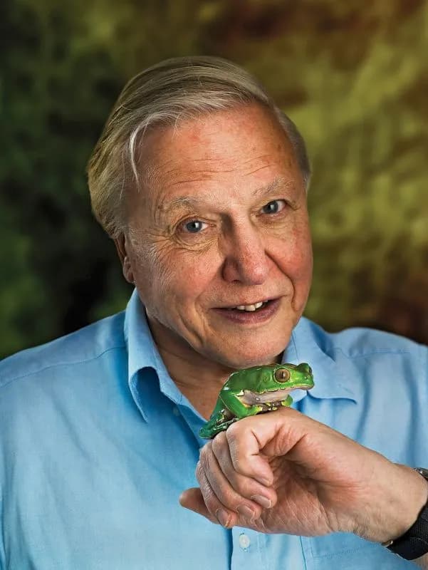 David Attenborough agent