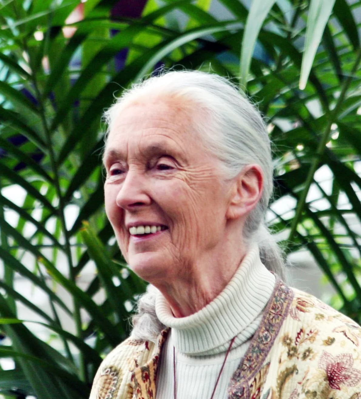 Jane Goodall agent